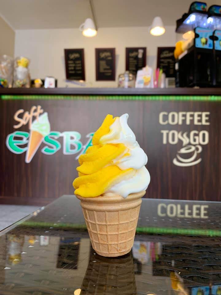 Eisbar direkt neben dem Zittauer Hof